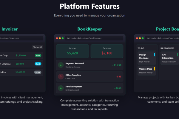 Introducing Tridah Drive